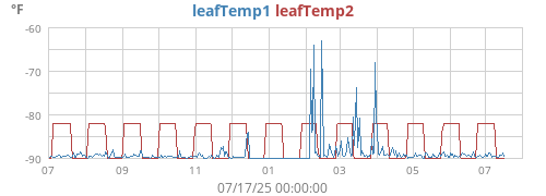yeartempleaf